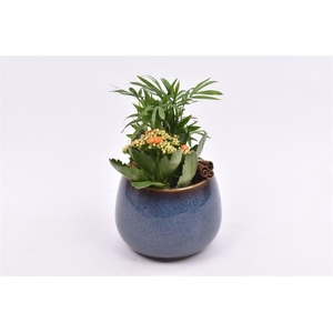 Keramiek bol pot 16.5cm