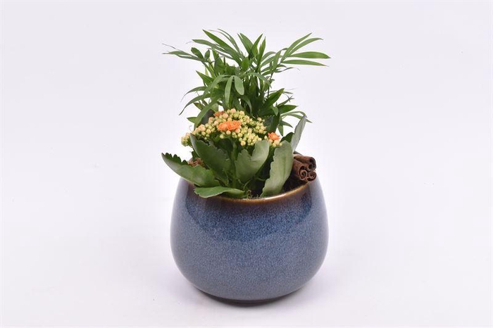<h4>Keramiek bol pot 16.5cm</h4>