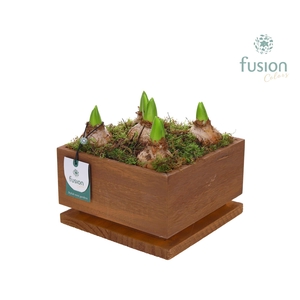 The Lighting Garden LED Large met Hyacinten