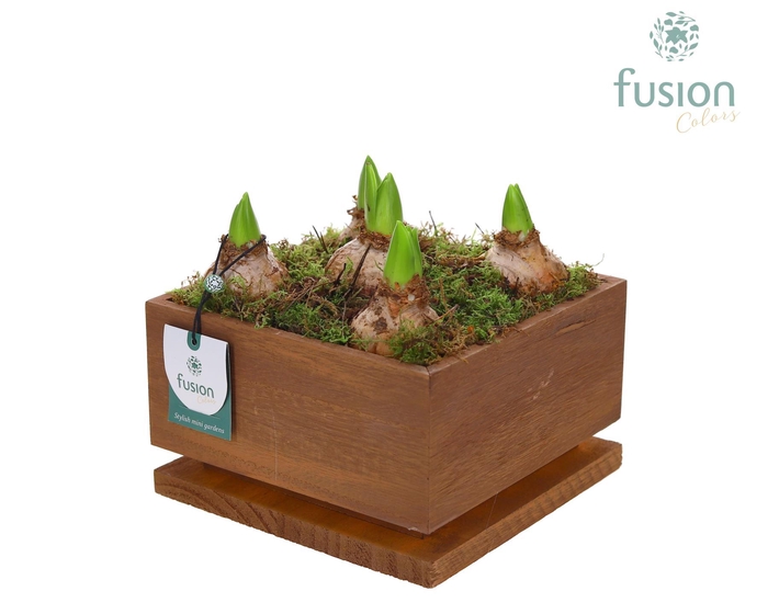 <h4>The Lighting Garden LED Large met Hyacinten</h4>