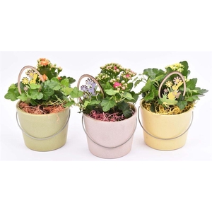 Keramiek kl.mix roze/groen/geel 12cm