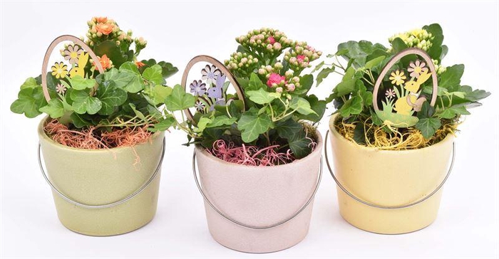 <h4>Keramiek kl.mix roze/groen/geel 12cm</h4>