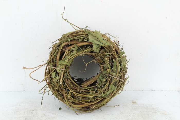 <h4>WREATH HOP BRANCHES 15CM</h4>