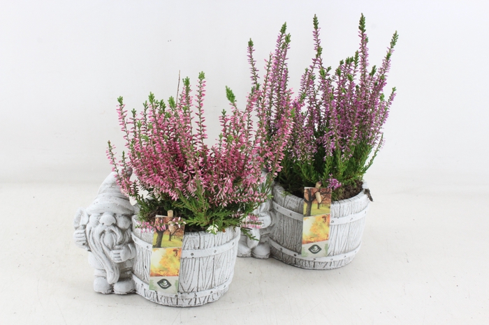 <h4>arr4 Outdoor JS - Ker. pot met gnome x4</h4>