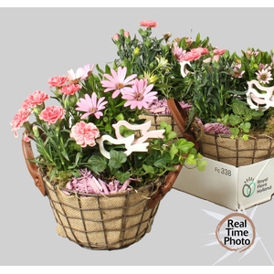 ARR TUINPLANTEN