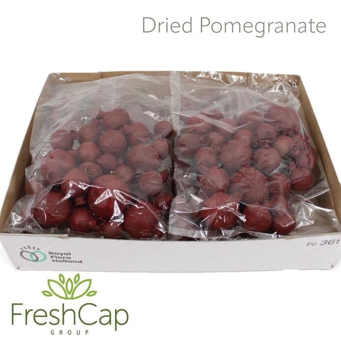 <h4>Dried Pomegranate</h4>