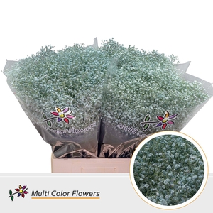 Gyps Fijn Blauw Licht