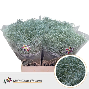 Gyps Fijn Blauw Licht