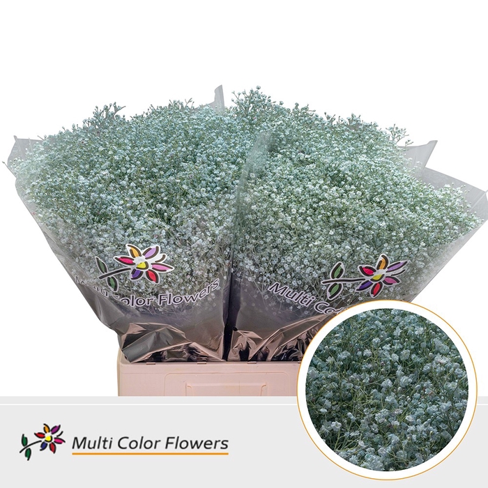 <h4>Gyps Fijn Blauw Licht</h4>