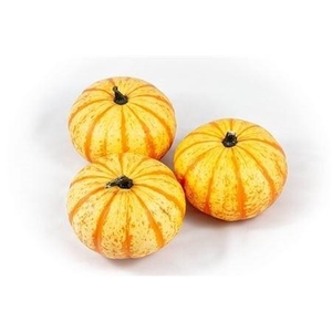 CUCURBITA PEPO