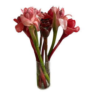 BQ Combo Box Torch Mix