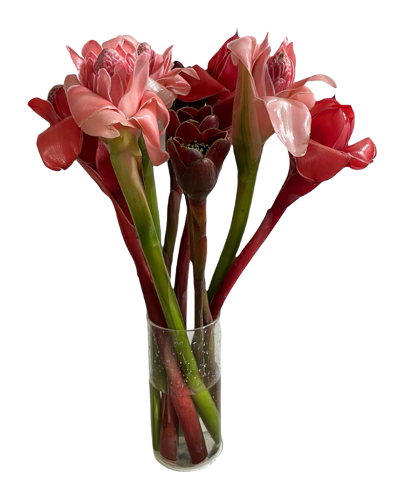 <h4>BQ Combo Box Torch Mix</h4>