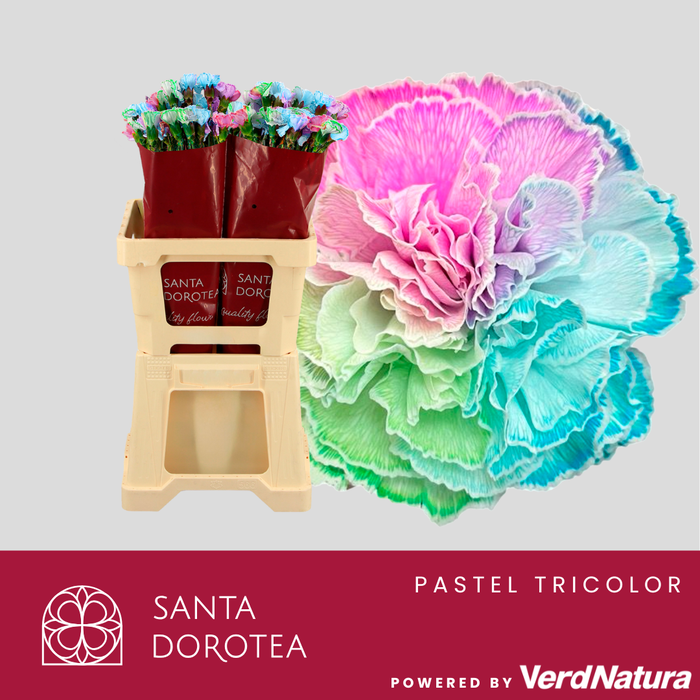 <h4>DI ST OV KLB H%</h4>