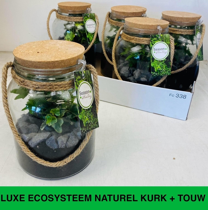 <h4>ARR KAMERPL</h4>