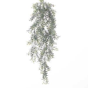 AF Hang Bush Boxwood x5 L75cm