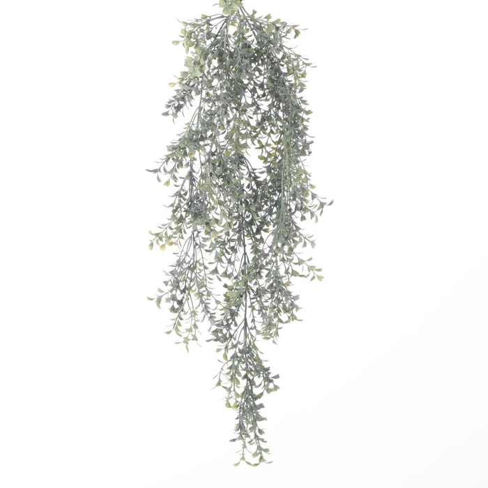 <h4>AF Hang Bush Boxwood x5 L75cm</h4>