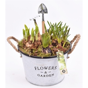 Zink teil Flowers & Garden 22cm