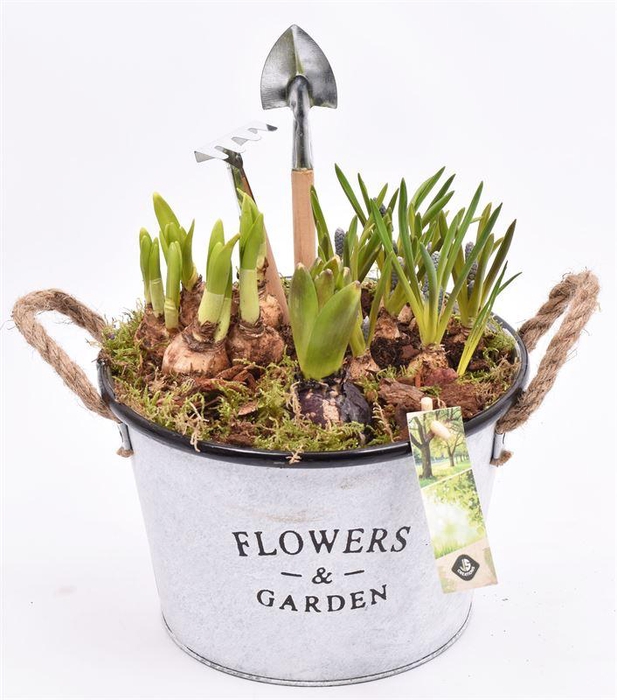 <h4>Zink teil Flowers & Garden 22cm</h4>