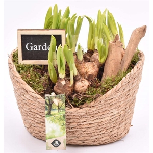 Touwmand ovaal 23x18.5cm