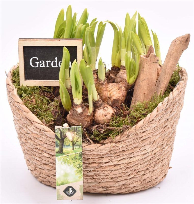 <h4>Touwmand ovaal 23x18.5cm</h4>