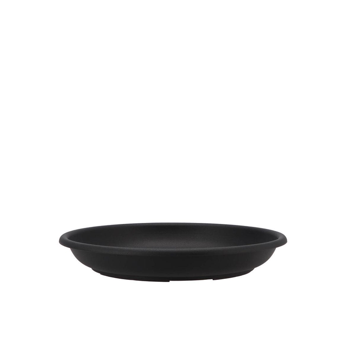 <h4>Floristry Plate 26cm P/10 Black</h4>