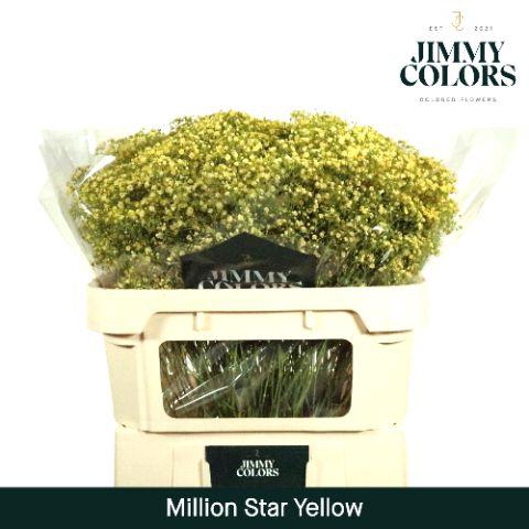 <h4>Gyps Million Star L70 Yellow</h4>