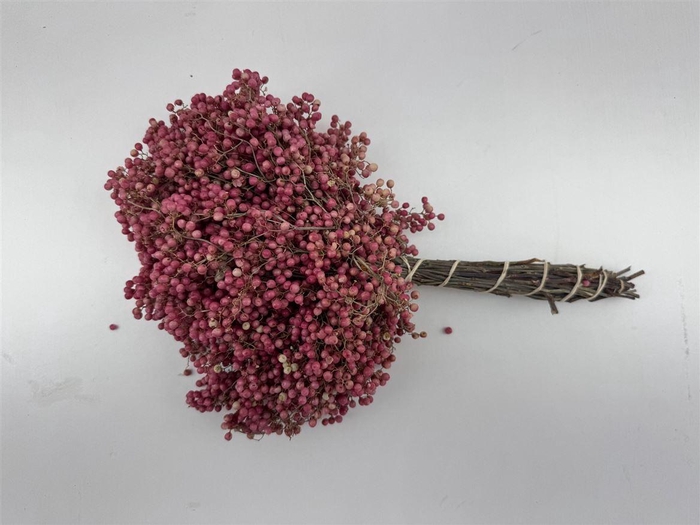 <h4>Schinus M Pink Special Pbs</h4>