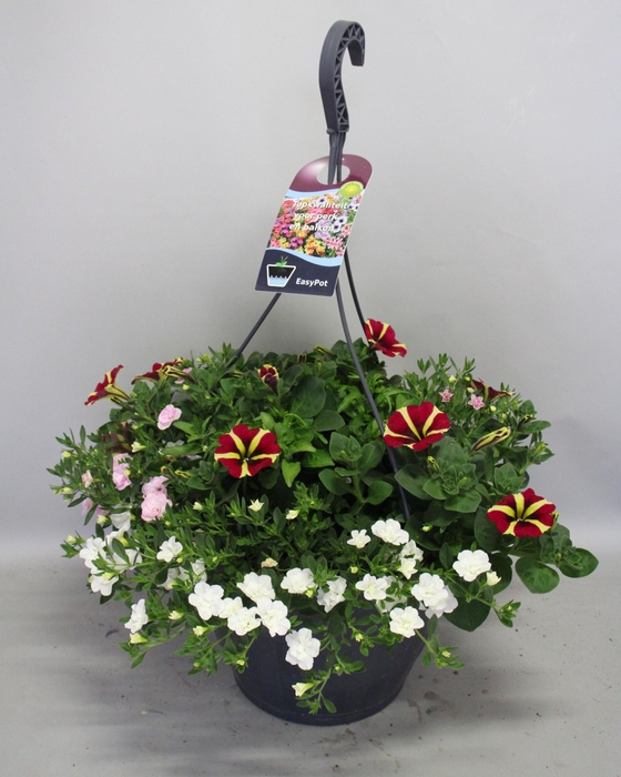 <h4>Hangpotten 37 cm met waterreservoir Mix 10 White Queen mix</h4>