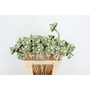 Stick Mushroom Lotus Green