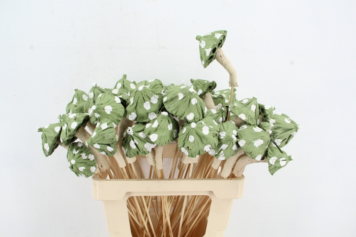 <h4>Stick Mushroom Lotus Green</h4>