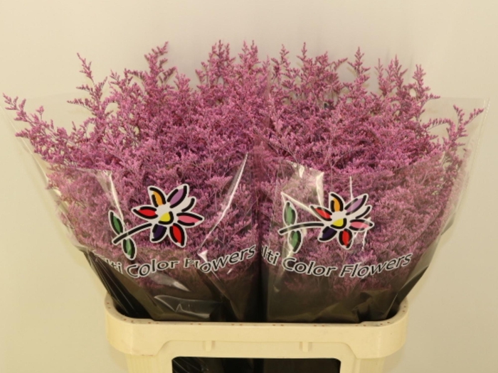 <h4>LIM OV KLB H%</h4>