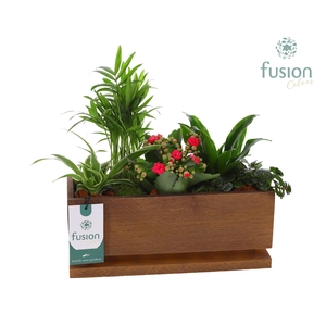 The Lighting Garden LED Medium met arrangement