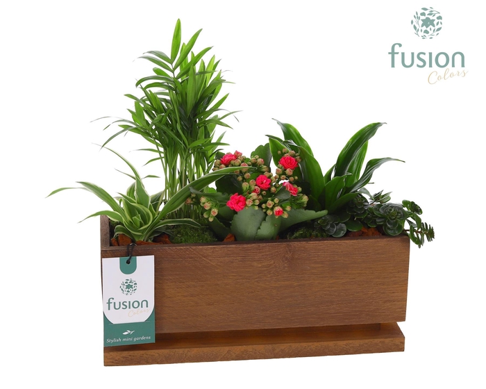 <h4>The Lighting Garden LED Medium met arrangement</h4>