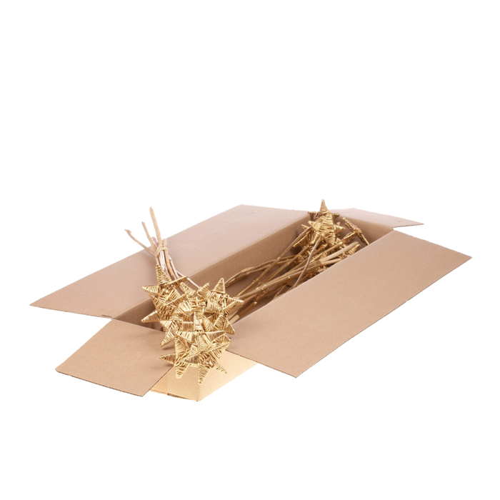 <h4>Lata St O/s Fl Sb Gold</h4>