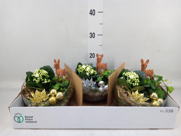 <h4>Arr.    Planten  L%</h4>