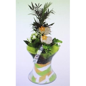 1527 XXL GROENE DIABOLO