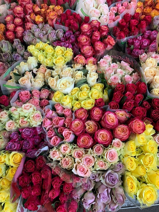 <h4>Rosa grootbloemig gemengd in fust</h4>