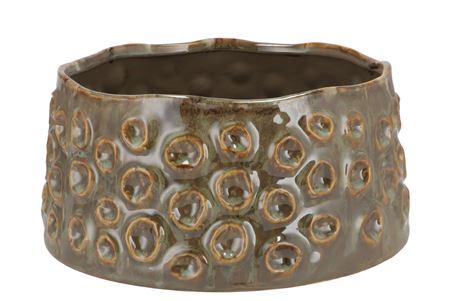 <h4>Alora Majestic Green Pot 25x25x12cm</h4>