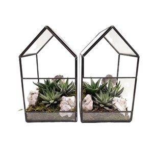Arr.   Kamerplant Groen H%