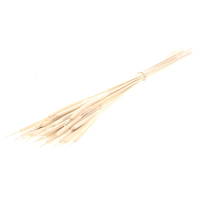 <h4>Typha Small 25pc Bleached White</h4>