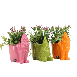 31672: Outdoor summer arrangement