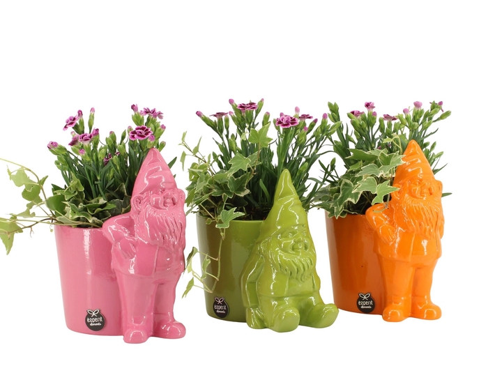 <h4>31672: Outdoor summer arrangement</h4>