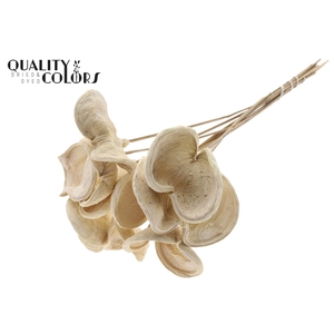 Badam on stem Bleached