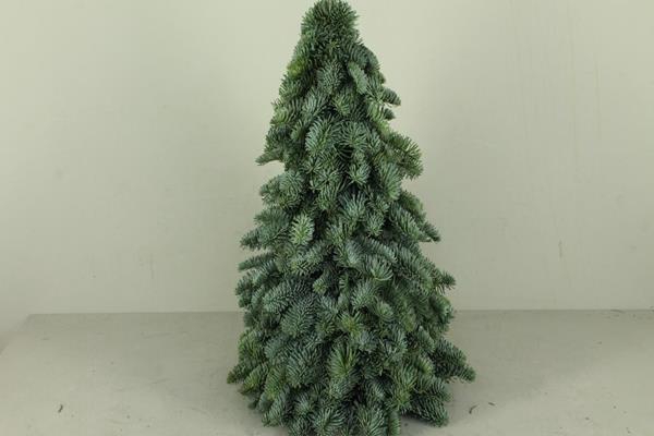 <h4>Tree Nobilis Natural 60cm</h4>