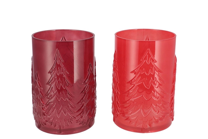 <h4>Ruby Jolly Red T-light Forrest Ass 16x22cm</h4>