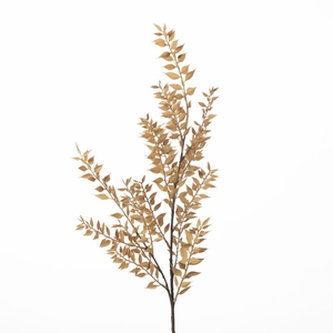 Af Ruscus Spray L94cm Beige