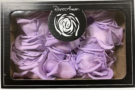<h4>Pr 1.5 Petals 100gr Vio03</h4>