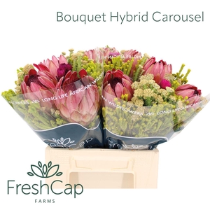 Bouquet Hybrid Carousel
