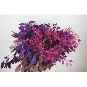 Euca Populus Berry Mix Pink 200gr P Bunch
