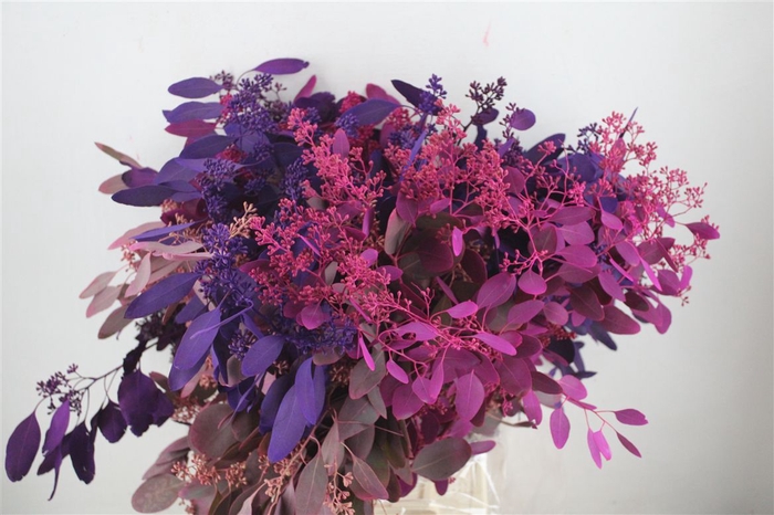 <h4>Euca Populus Berry Mix Pink 200gr P Bunch</h4>